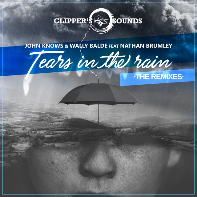 Couverture de Tears in the Rain