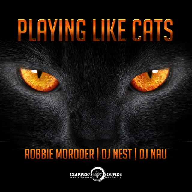 Couverture de Playing Like Cats