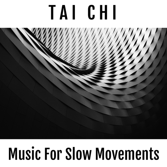 Couverture de Tai Chi: Electronic Music For Slow Movements