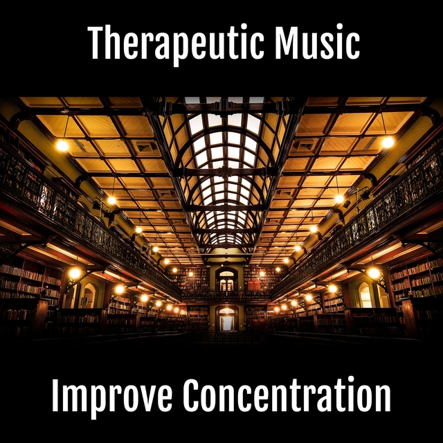 Couverture de Improve Concentration and Productivity with Binaural Beats