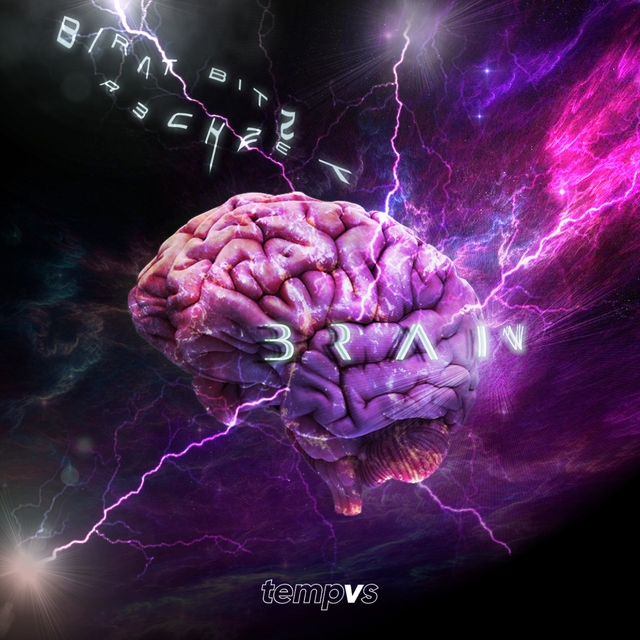 Couverture de Brain