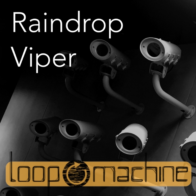 Couverture de Raindrop viper