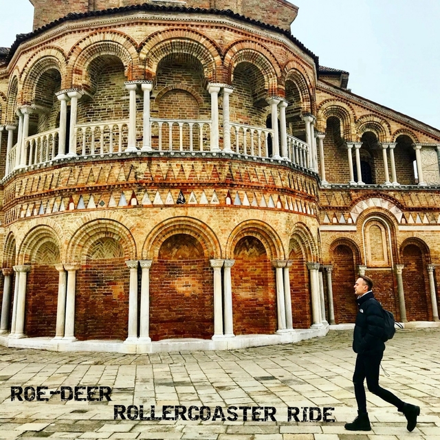 Couverture de Rollercoaster Ride