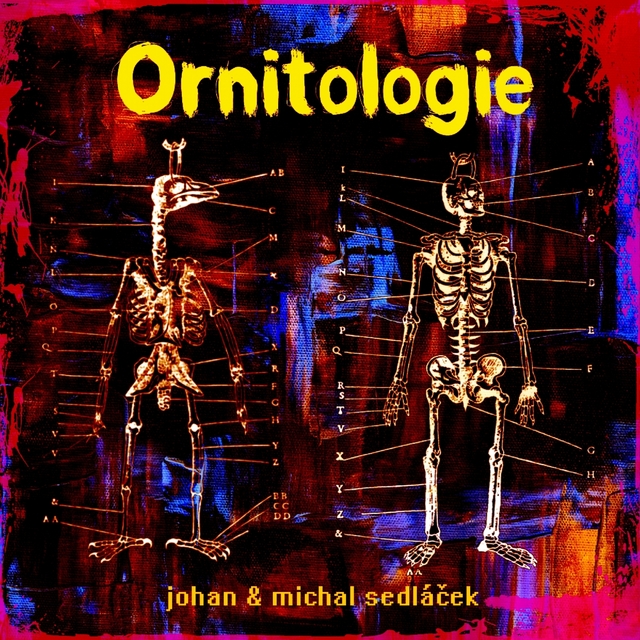 Ornitologie