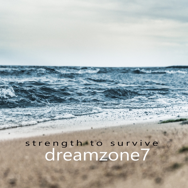 Couverture de Strength To Survive