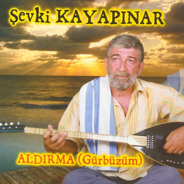 Couverture de Aldırma