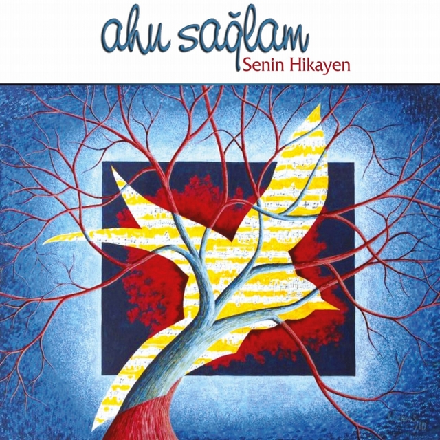 Couverture de Senin Hikayen