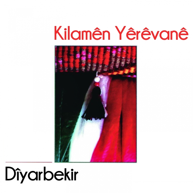 Couverture de Dîyarbekir