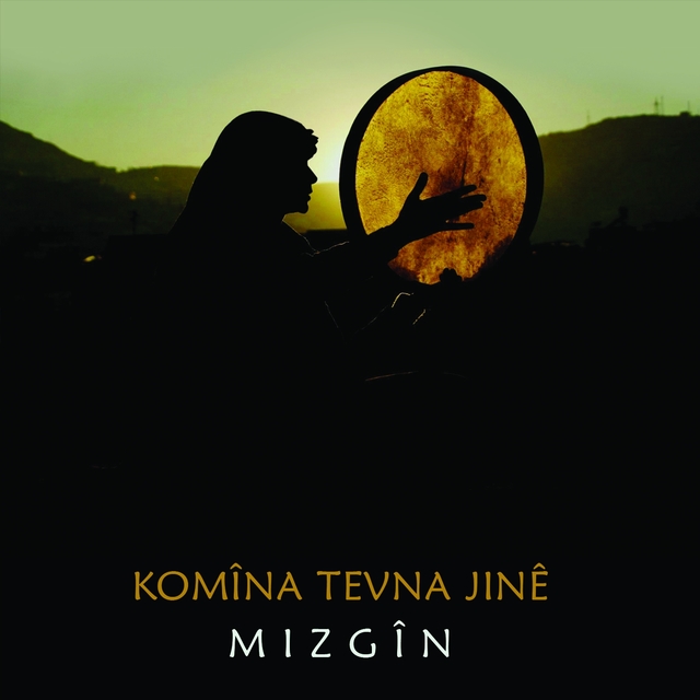 Couverture de Mizgîn