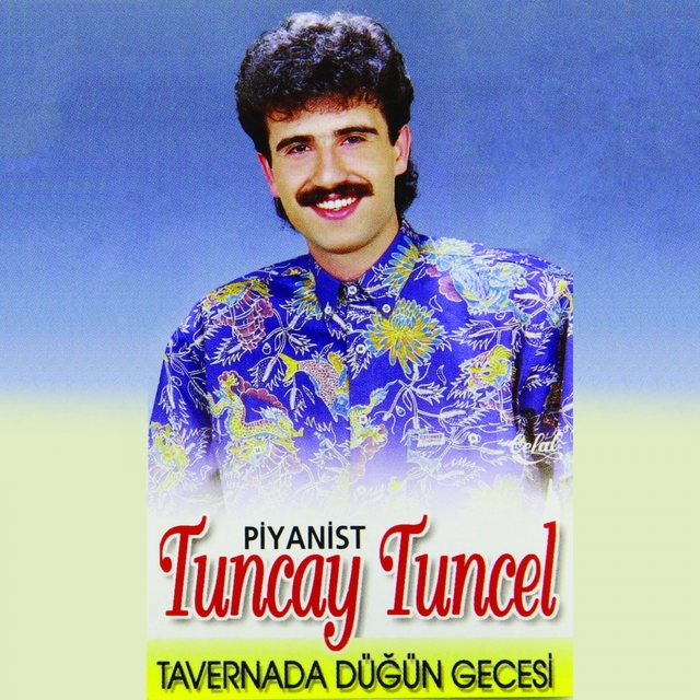 Tavernada Düğün Gecesi