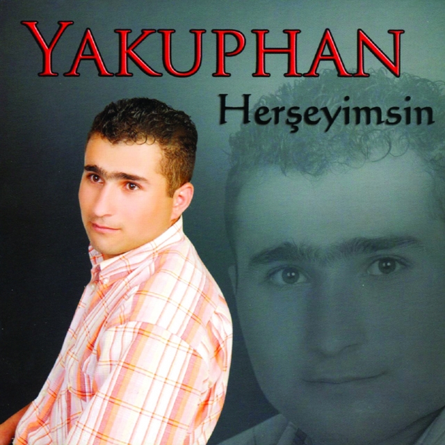 Couverture de Herşeyimsin