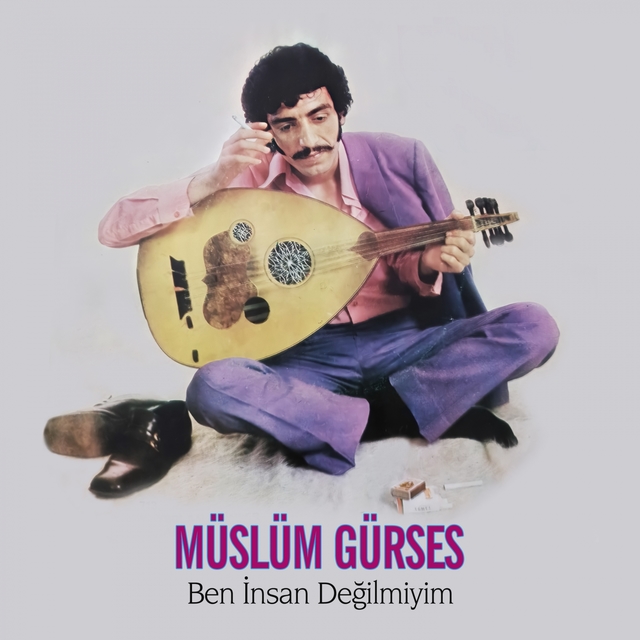 Ben Insan Değilmiyim