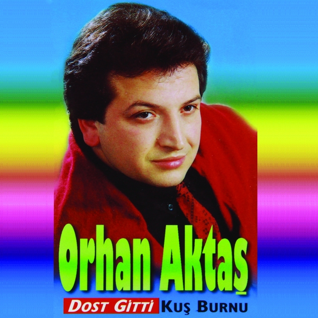 Couverture de Dost Gitti / Kuş Burnu