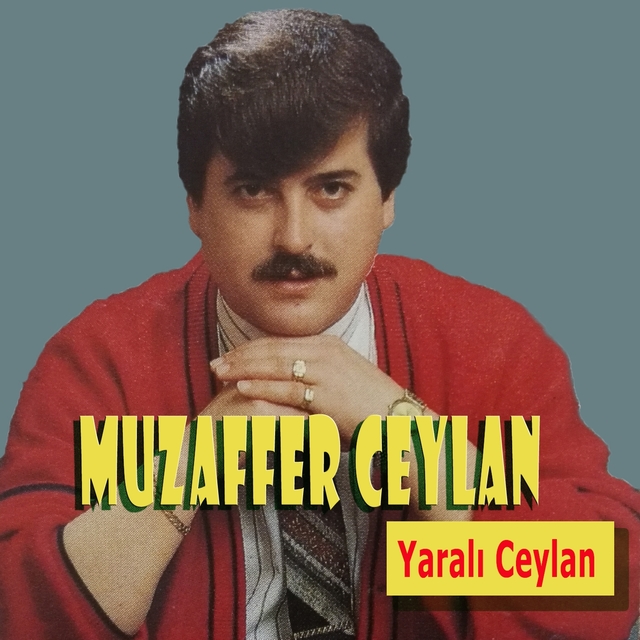 Couverture de Yaralı Ceylan