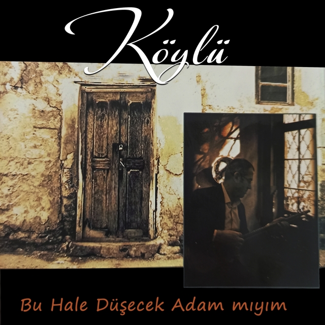 Couverture de Bu Hale Düşecek Adam Mıyım