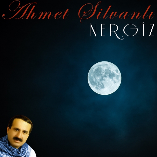 Couverture de Nergîz