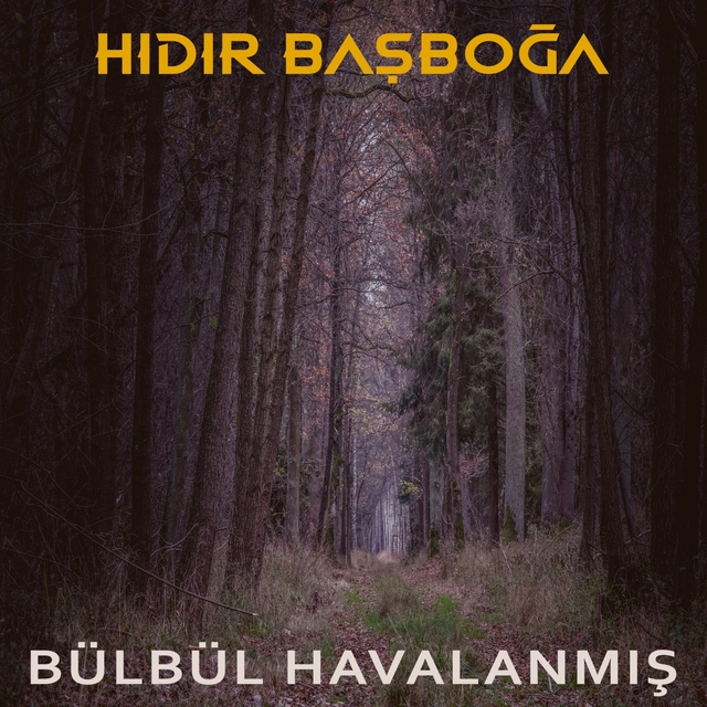 Couverture de Bülbül Havalanmış