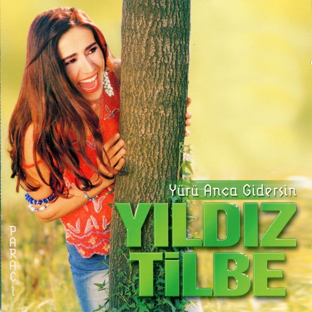 Couverture de Yürü Anca Gidersin