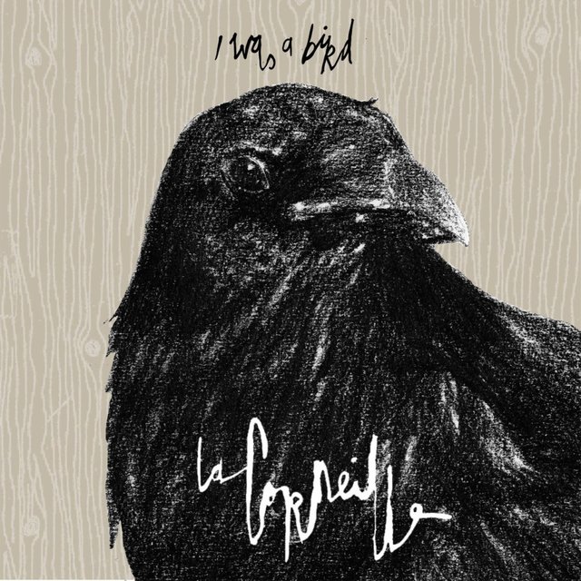 Couverture de I Was a Bird