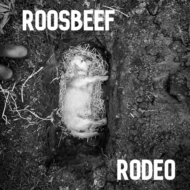 Couverture de Rodeo