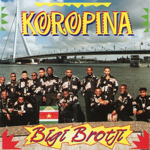 Couverture de Bigi Brotji