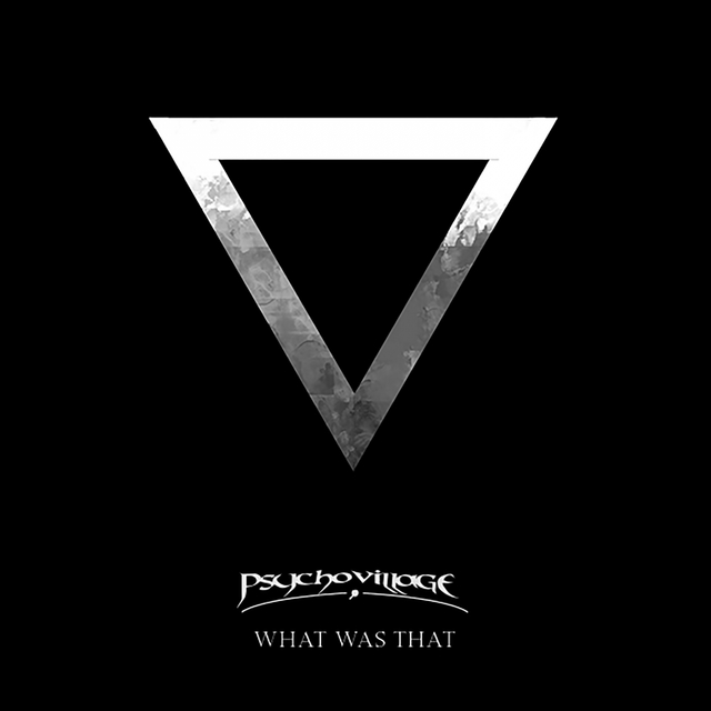 Couverture de What Was That