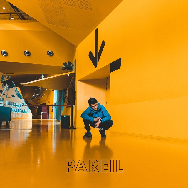 Pareil