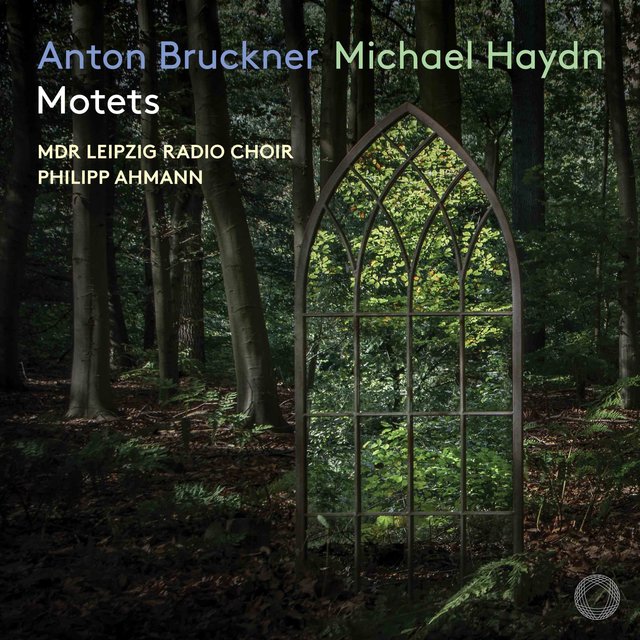 Bruckner & M. Haydn: Motets