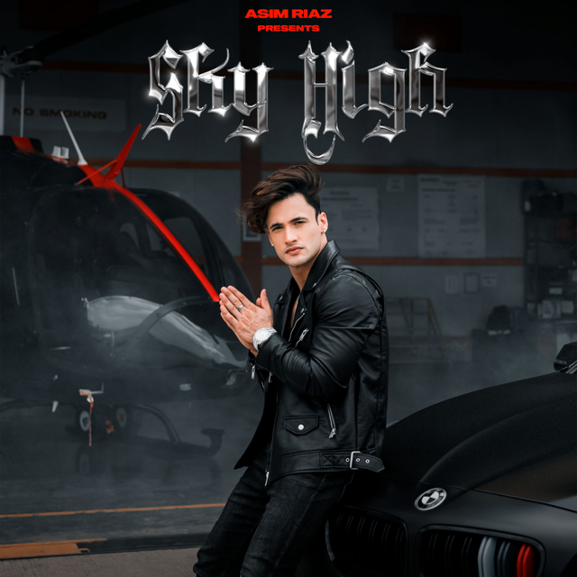 Couverture de Sky High