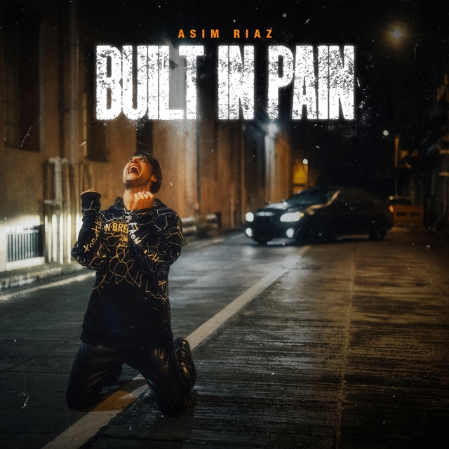 Couverture de Built In Pain