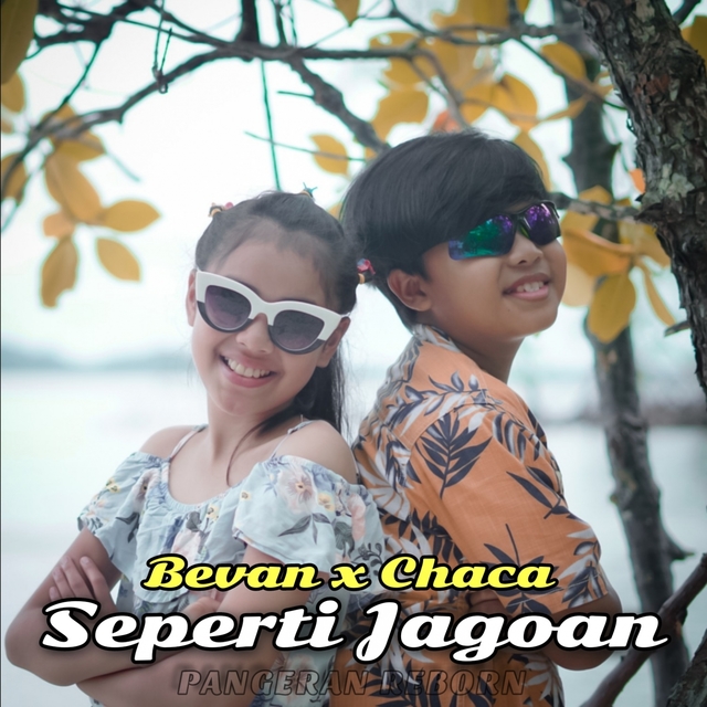 Seperti Jagoan