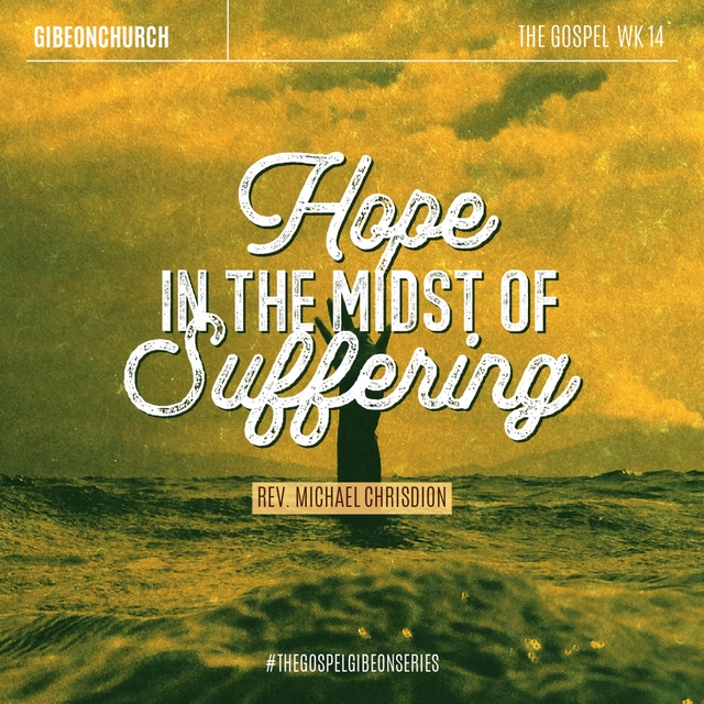 Couverture de The Gospel 14 / 16 - Hope In The Midst Of Suffering