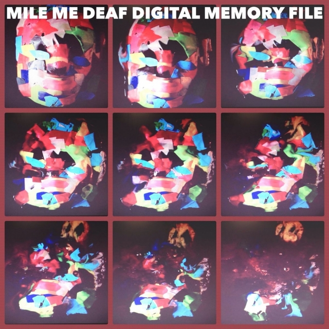 Couverture de Digital Memory File