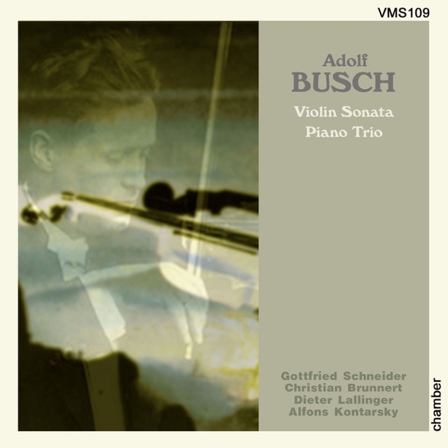 Busch: Violin Sonata & Trio
