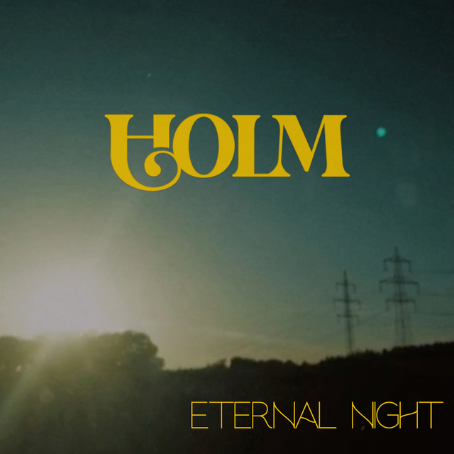 Couverture de Eternal Night