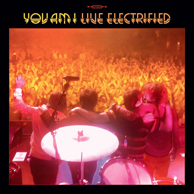 Couverture de Live Electrified