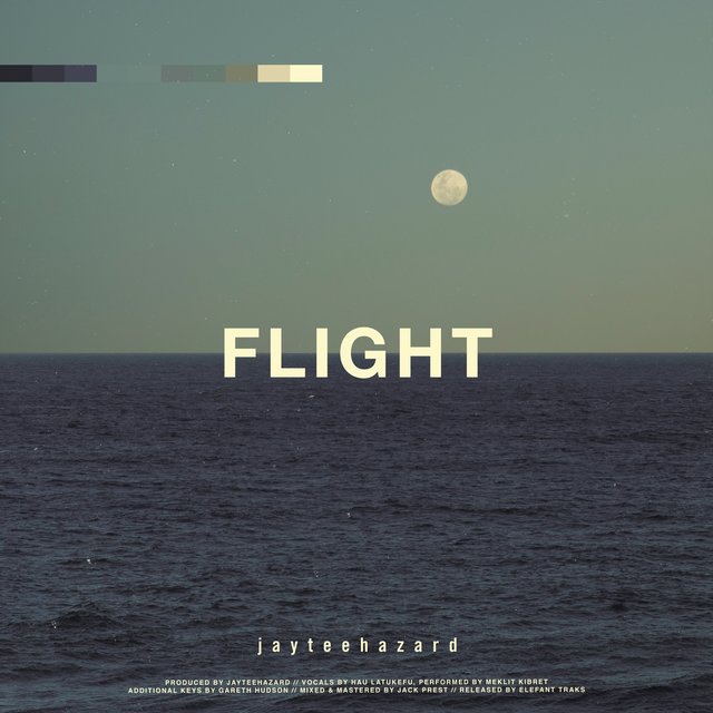 Couverture de Flight