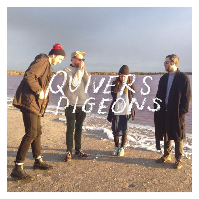 Couverture de Pigeons