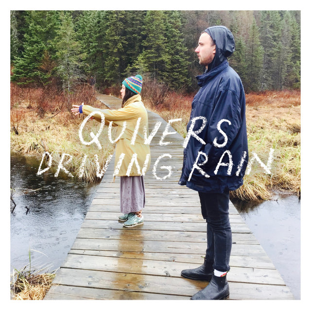 Couverture de Driving Rain