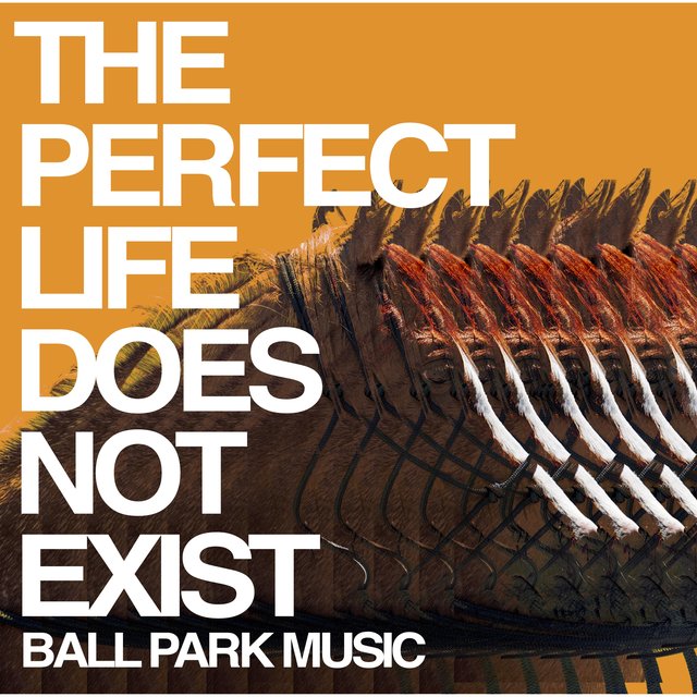 Couverture de The Perfect Life Does Not Exist