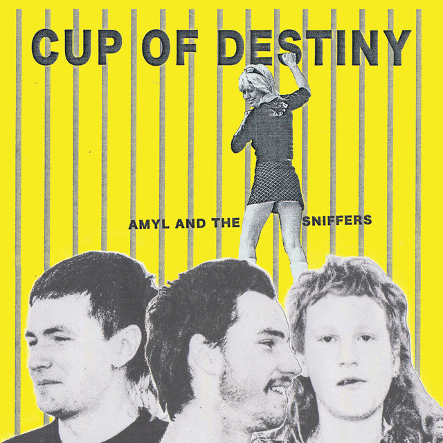 Cup Of Destiny