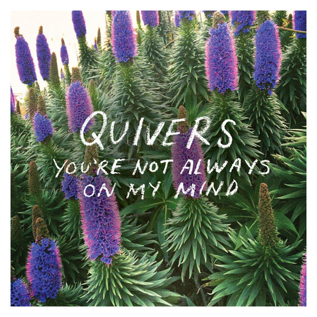 Couverture de You're Not Always On My Mind