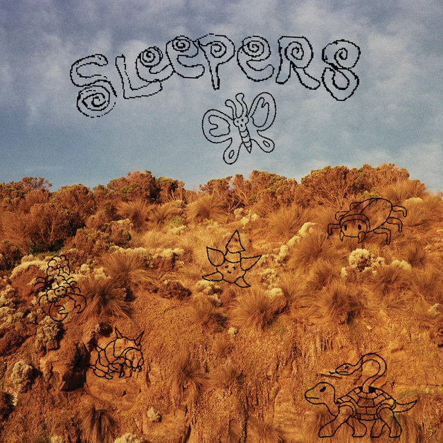 Couverture de Sleepers