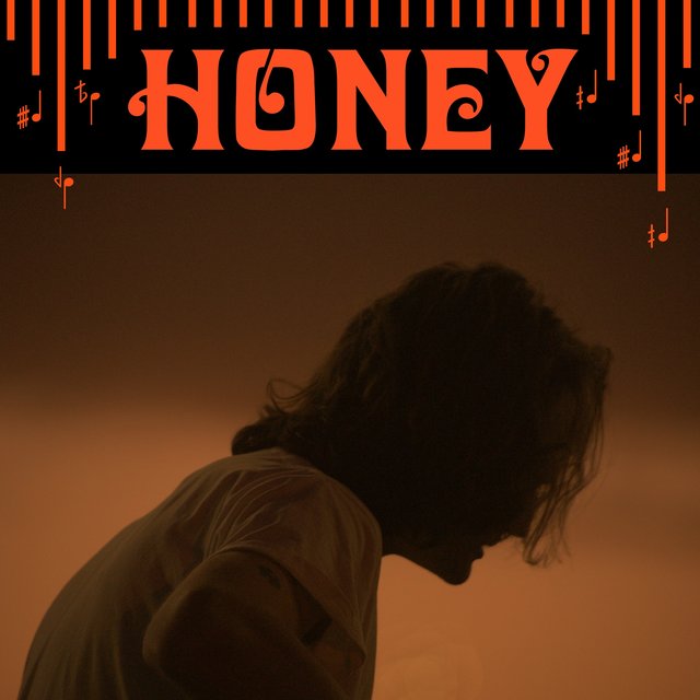 Couverture de Honey