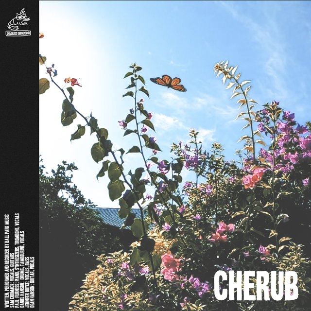 Couverture de Cherub