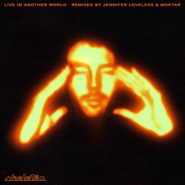 Couverture de Live In Another World Remixes