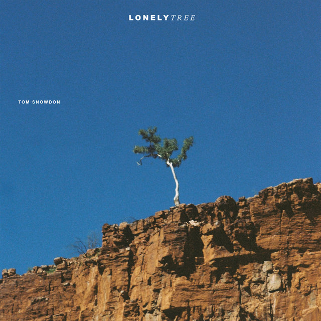 Couverture de Lonely Tree