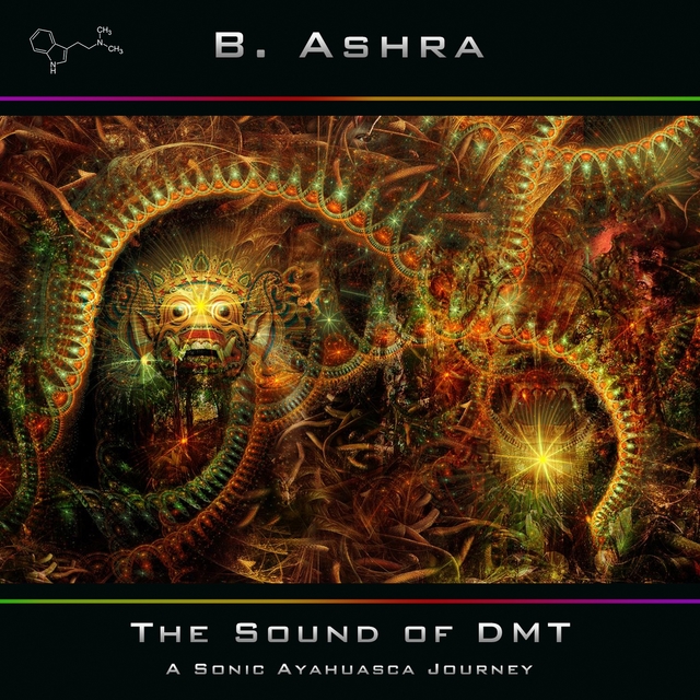 Couverture de The Sound of DMT