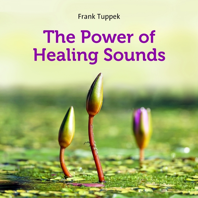 Couverture de The power of healing sounds