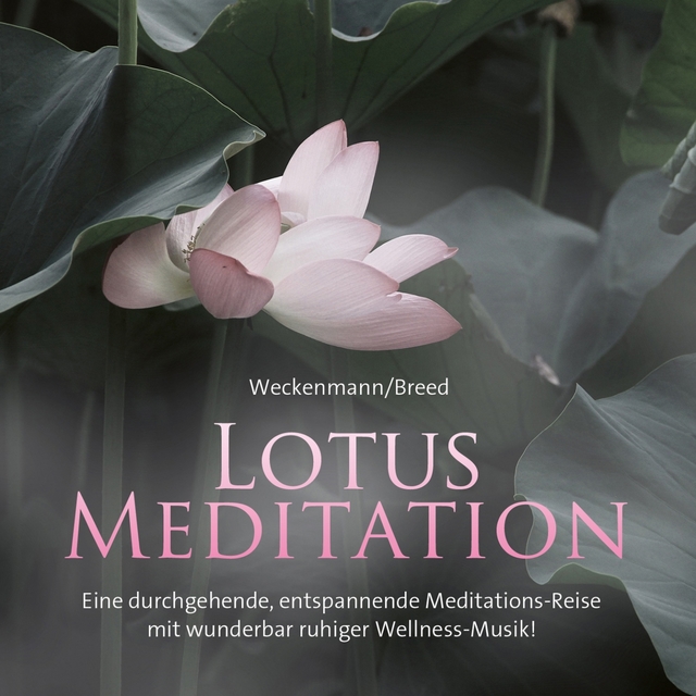 Lotus Meditation